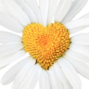 Meet your Posher, Shelly